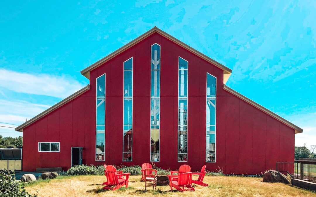 🍺 Discover MacKinnon Brothers Brewing Company in Lennox & Addington County